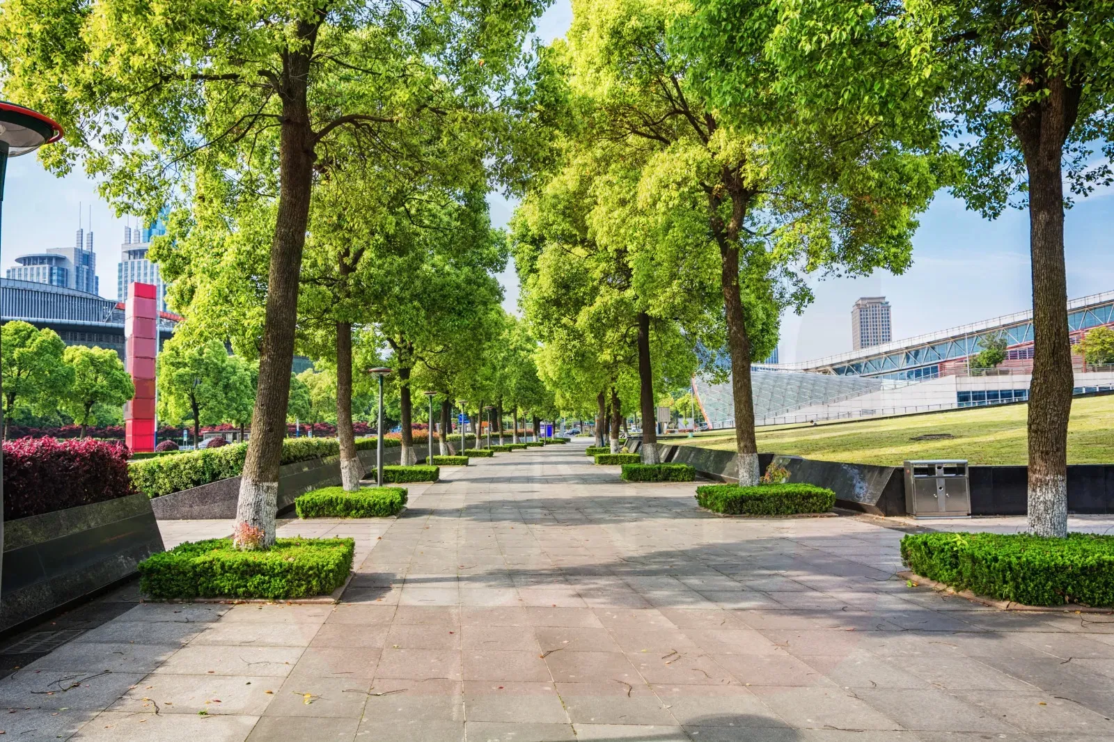 A serene park walkway bordered by trees and benches, inviting visitors to relax and enjoy nature's beauty