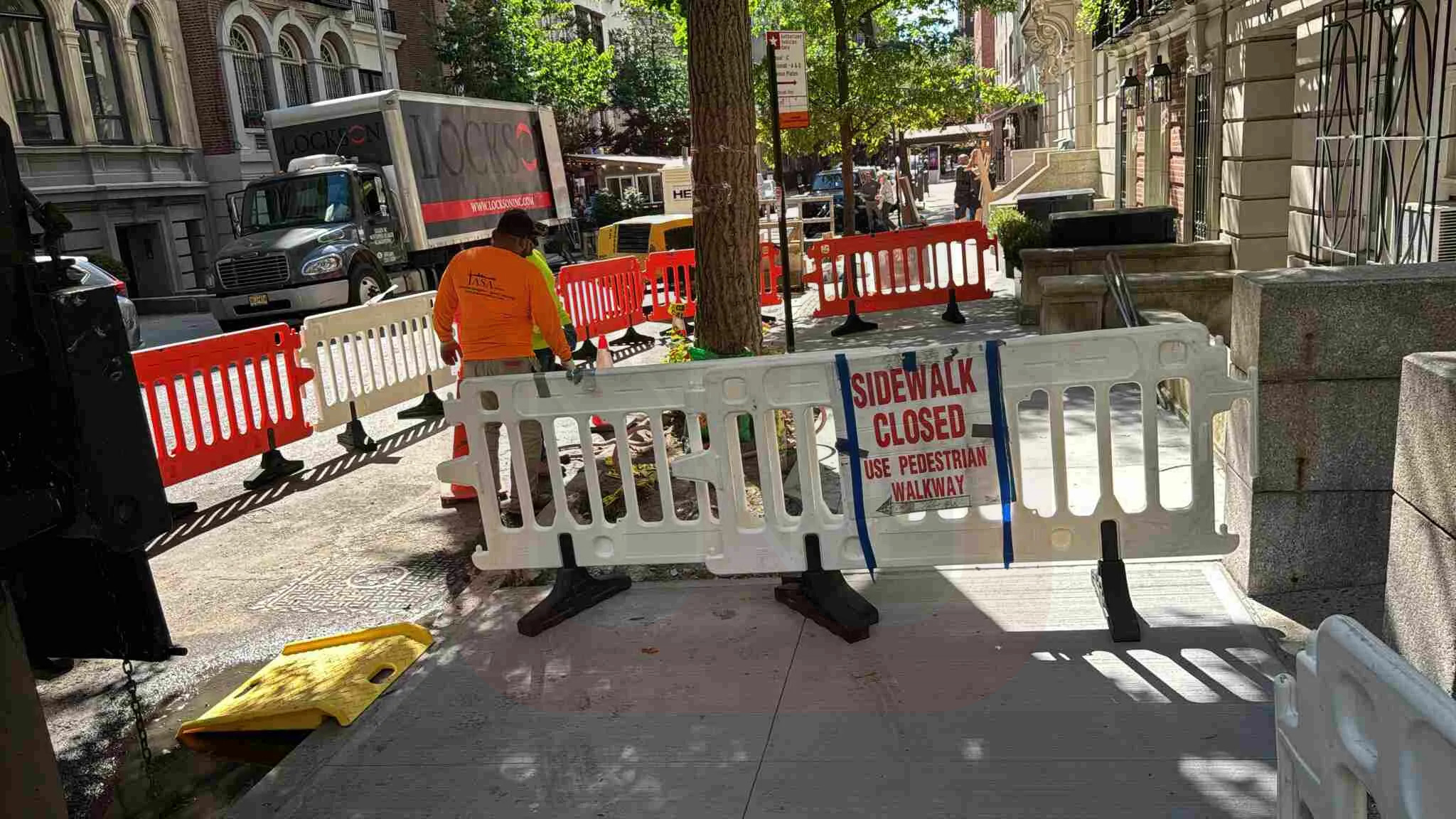 Tree Root Sidewalk Damage NYC: Solutions & Repairs